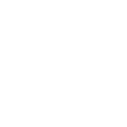 check-icon