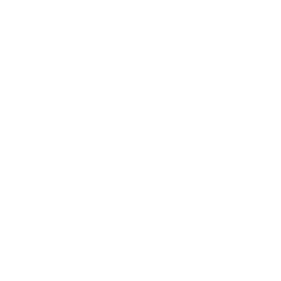 chart-icon